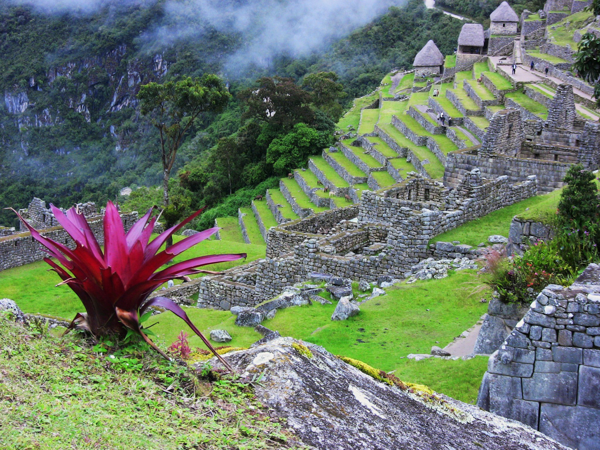 Day 2: Aguas Calientes - Machu Picchu, Perú